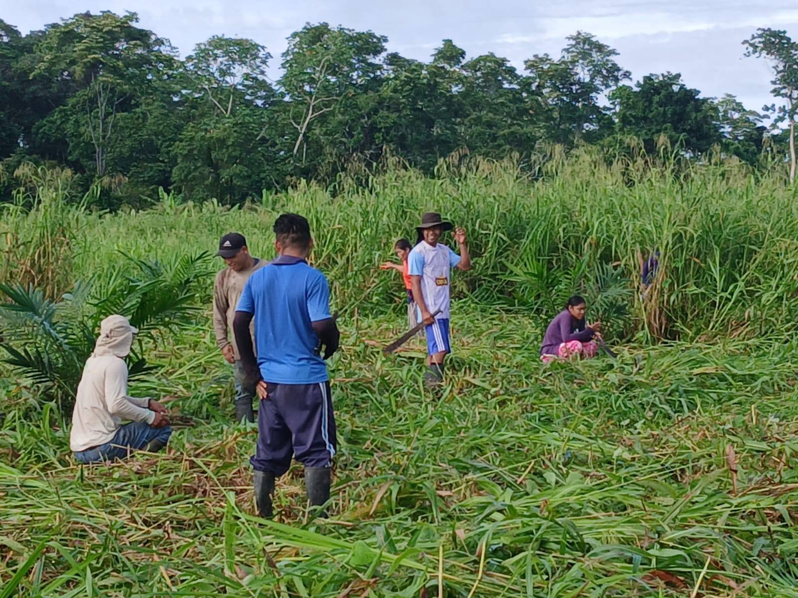 Foto adicional — Nuestra comunidad ya formó su ASOCIACION AGROFORESTAL CN…