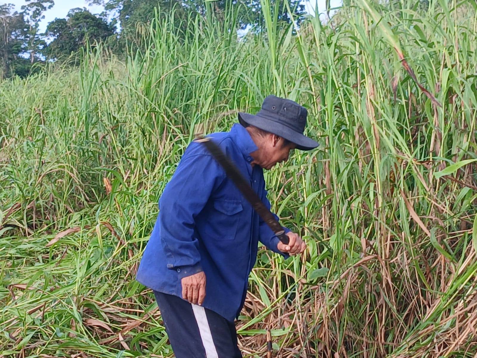 Foto adicional — Nuestra comunidad ya formó su ASOCIACION AGROFORESTAL CN…